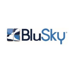 BluSki Restoration